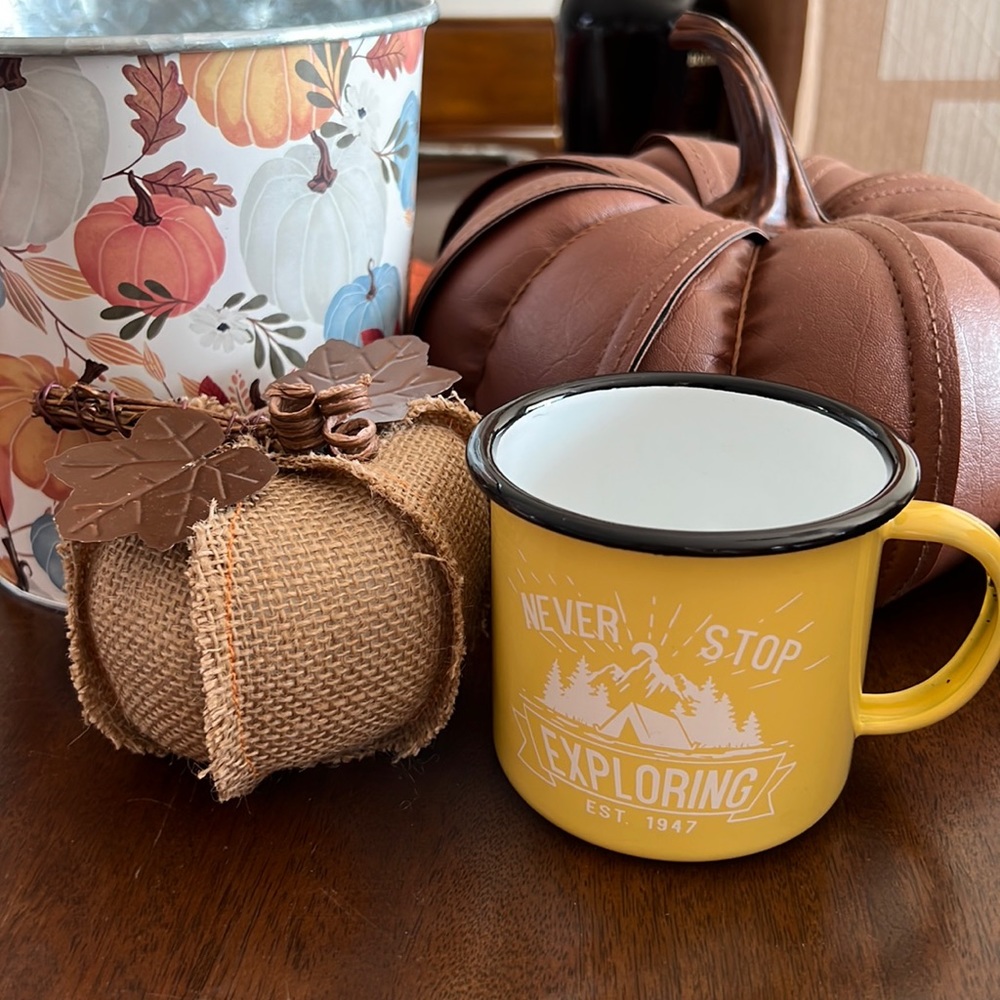 Tin Camping Mugs